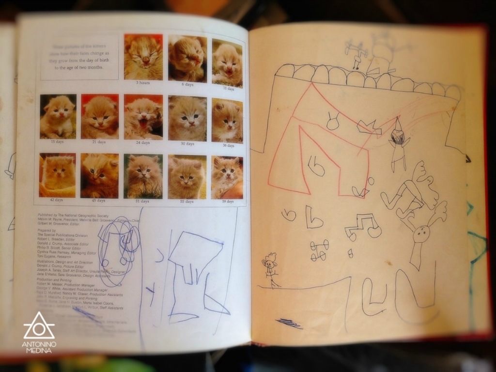 027 IMG 2077mx