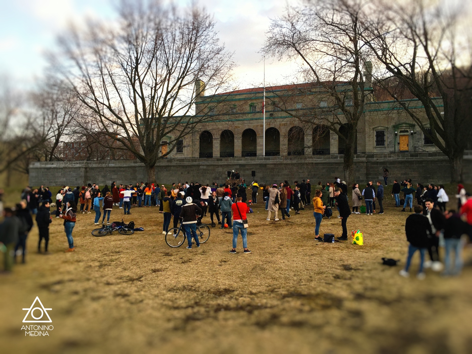 11 IMG 5207