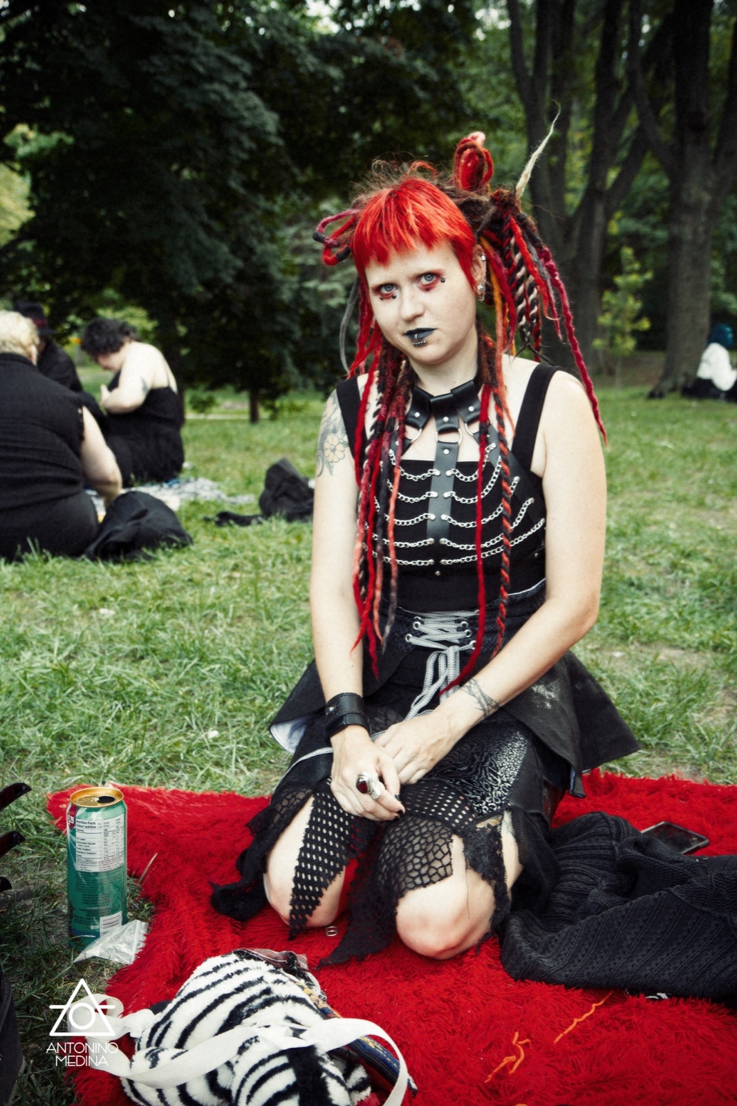 014 Gothique IMG 6037