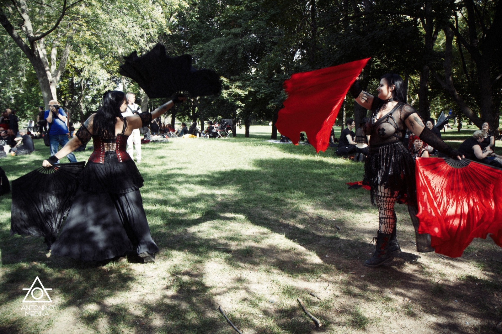 044 Gothique IMG 6013