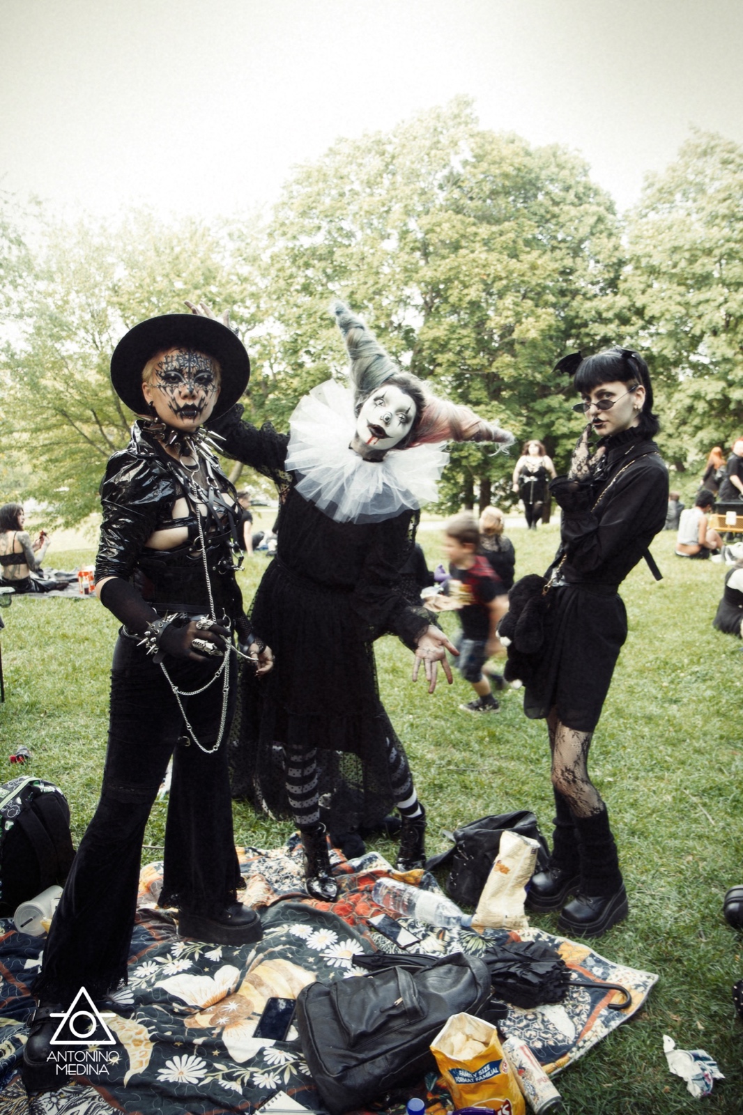 056 Gothique IMG 6041