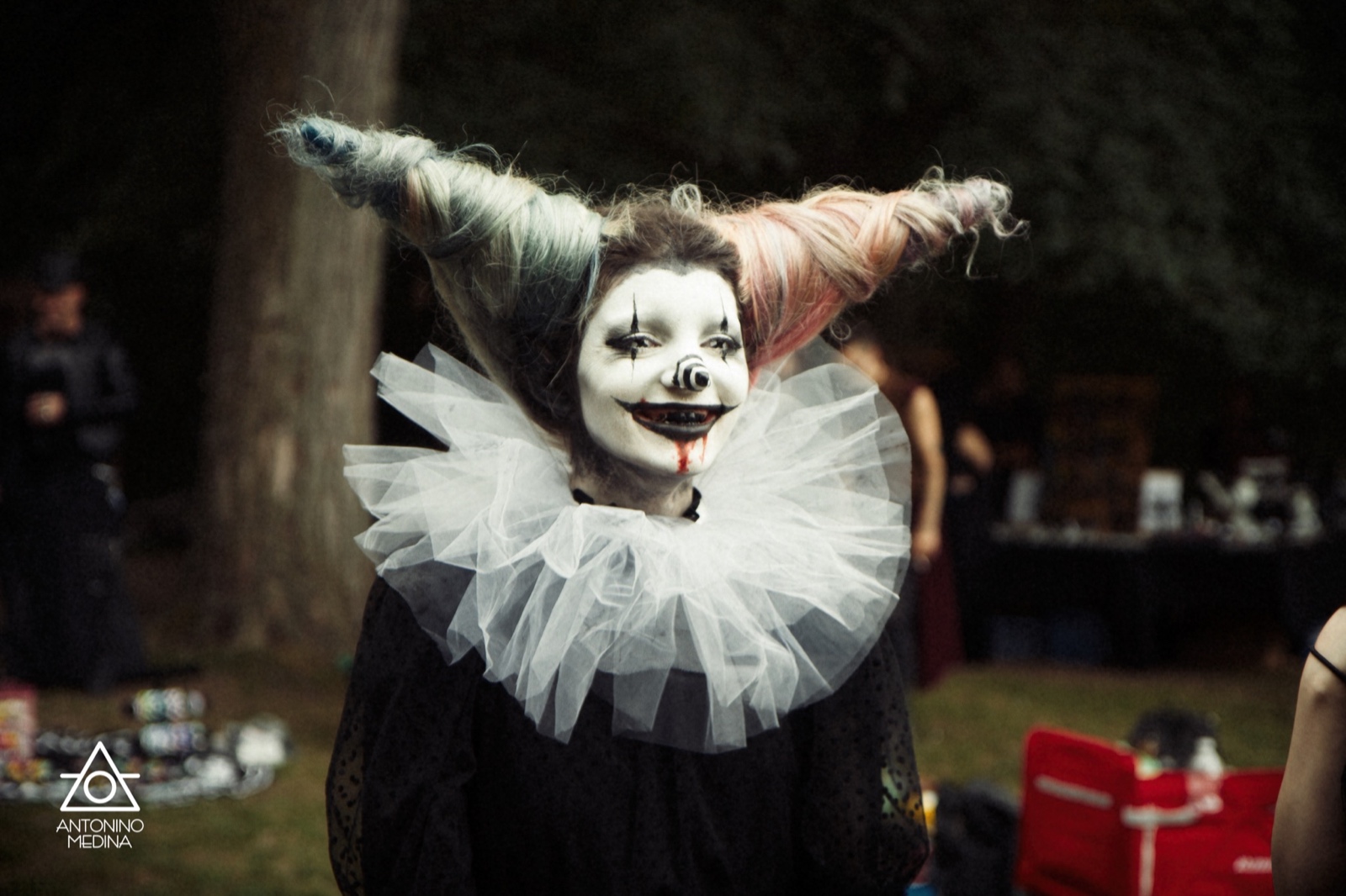 145 Gothique IMG 6221