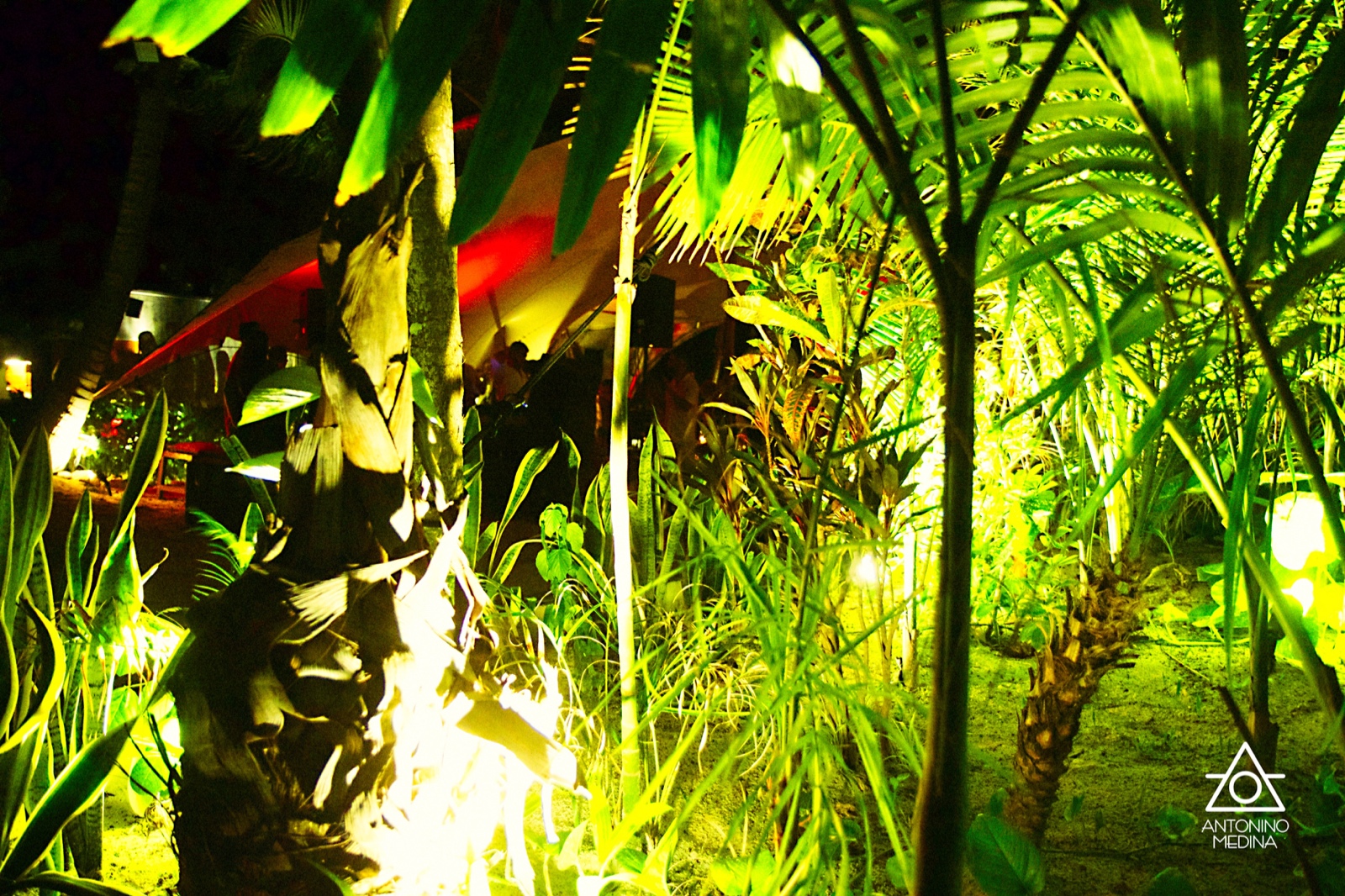 11IMG 7387