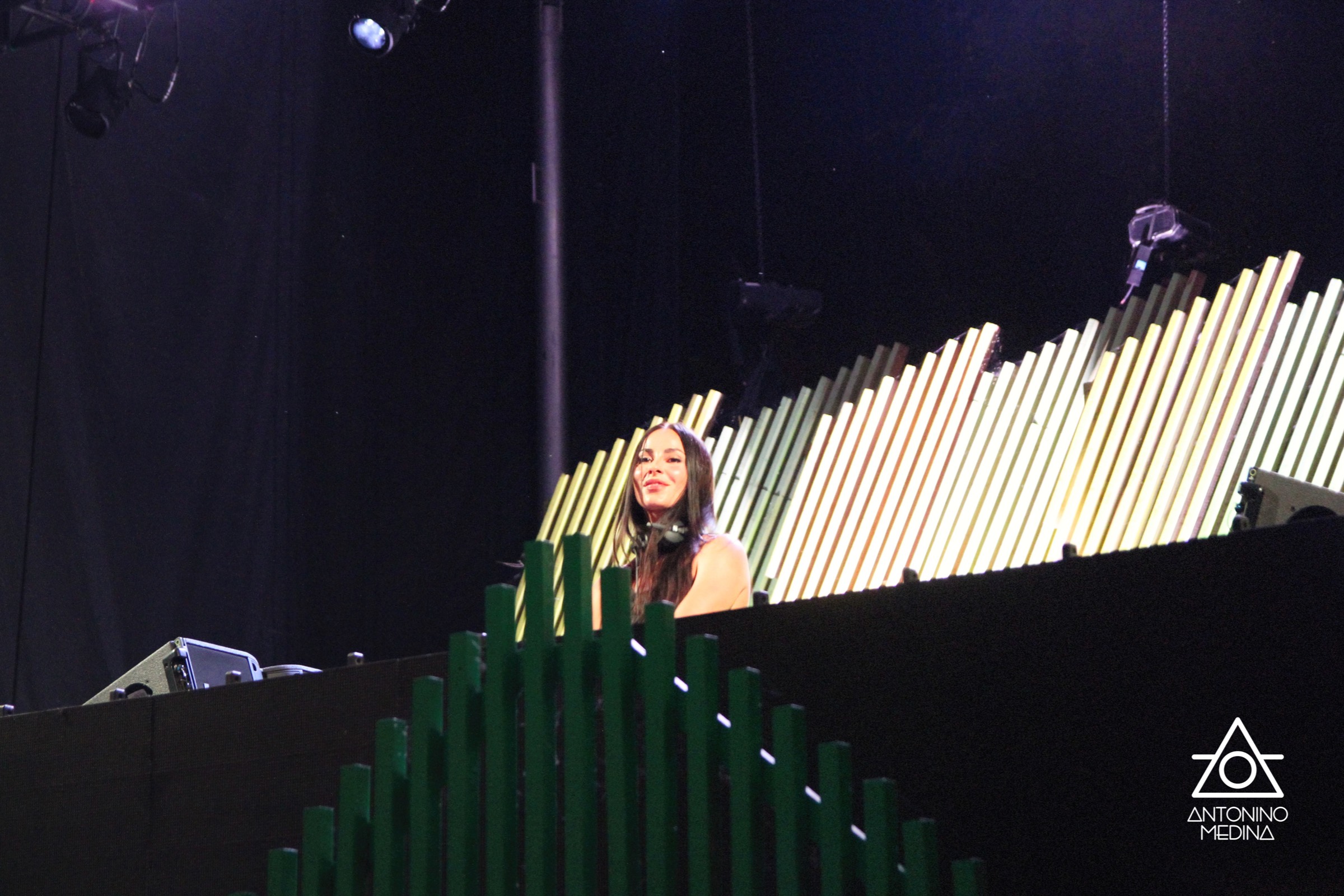 Piknic Électronik MTL 2025 #16 : BIIA | Guthrie B2B Alina